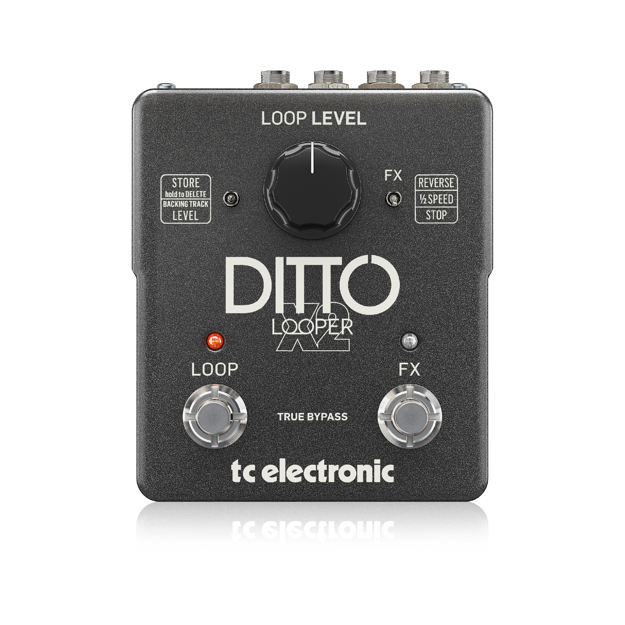 TC Electronic DITTO X2 LOOPER - 株式会社エレクトリ