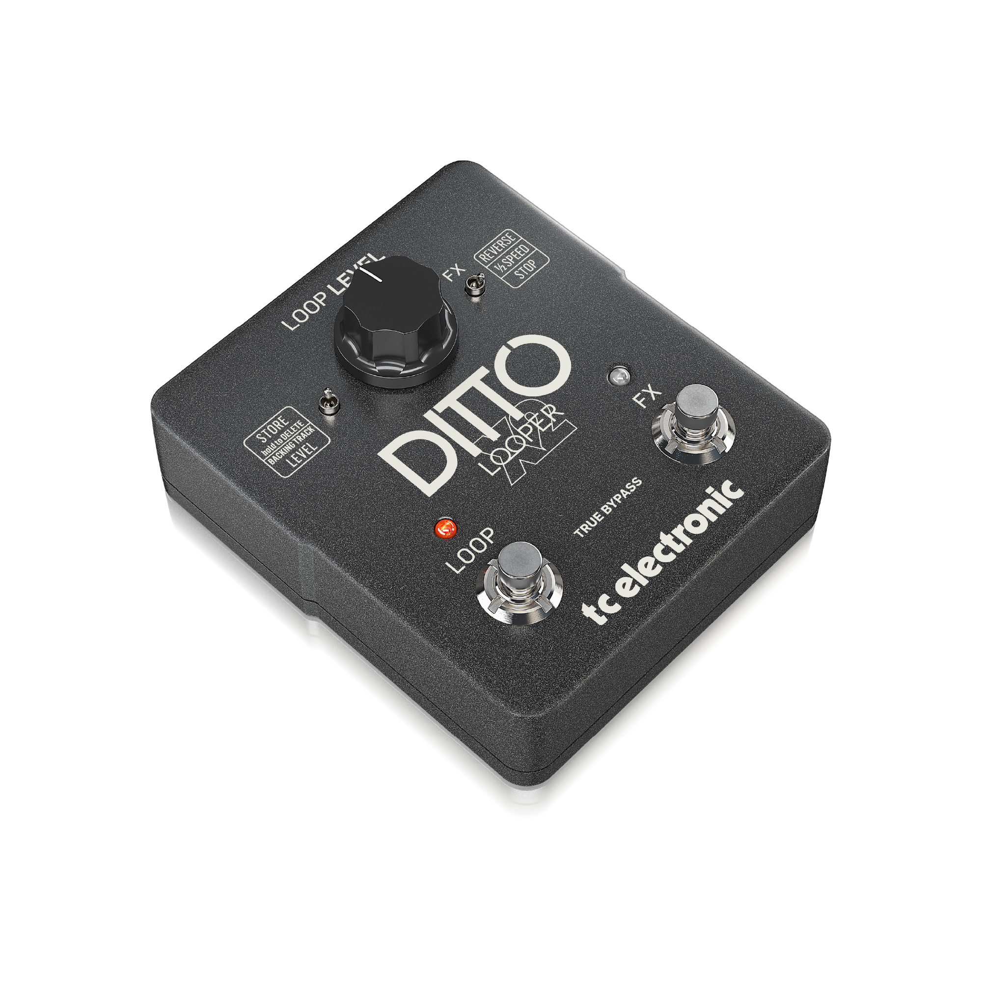 純正特注品 TC ELECTRONIC Ditto Looper ルーパー【本体のみ